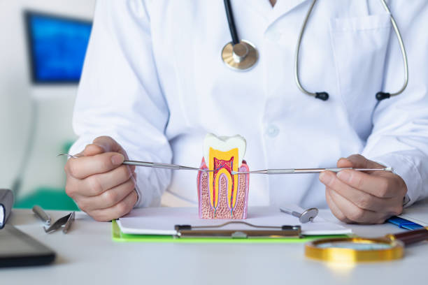 Best Dentist for Dental Trauma  in Natalbany, LA